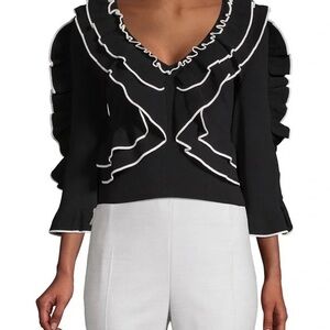Ronny Kobo Shiva Ruffled Crop Top Small Revolve black v-neck sweater feminine